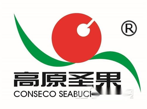 高原圣果沙棘制品 同順廣告?zhèn)髅剑尳】蹬c品牌同頻共振